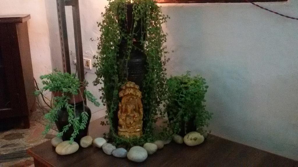 Hotel Sukhsadan Dehradun Zewnętrze zdjęcie